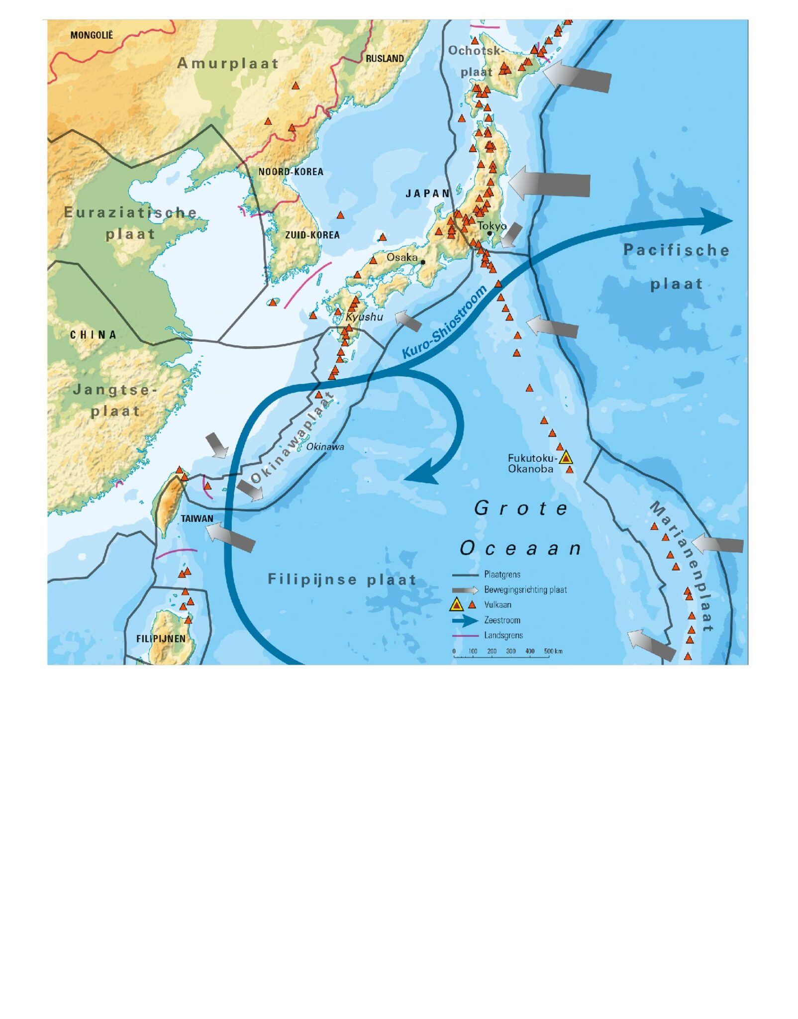 Hier kun je zwemmen tussen drijvende stenen!